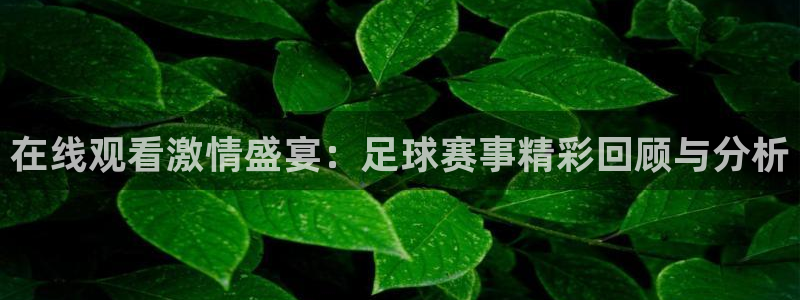 在线观看激情盛宴:足球赛事精彩回顾与分析
