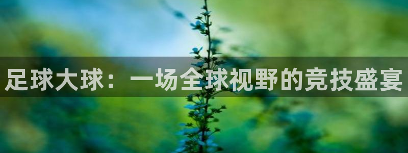 足球大球:一场全球视野的竞技盛宴