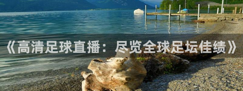 《高清足球直播:尽览全球足坛佳绩》