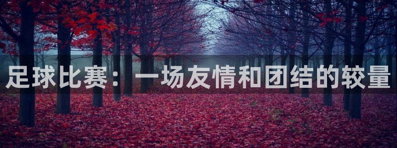 足球比赛:一场友情和团结的较量