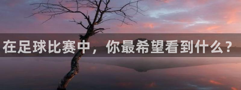 在足球比赛中,你最希望看到什么?