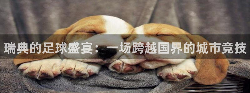 瑞典的足球盛宴:一场跨越国界的城市竞技