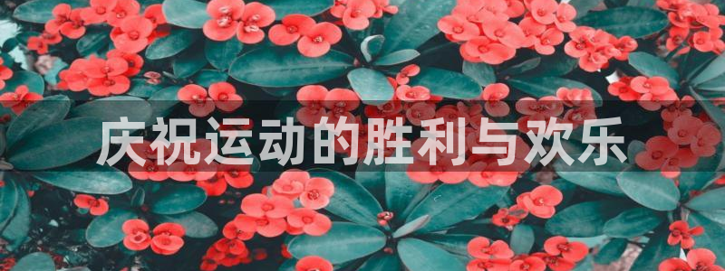 庆祝运动的胜利与欢乐